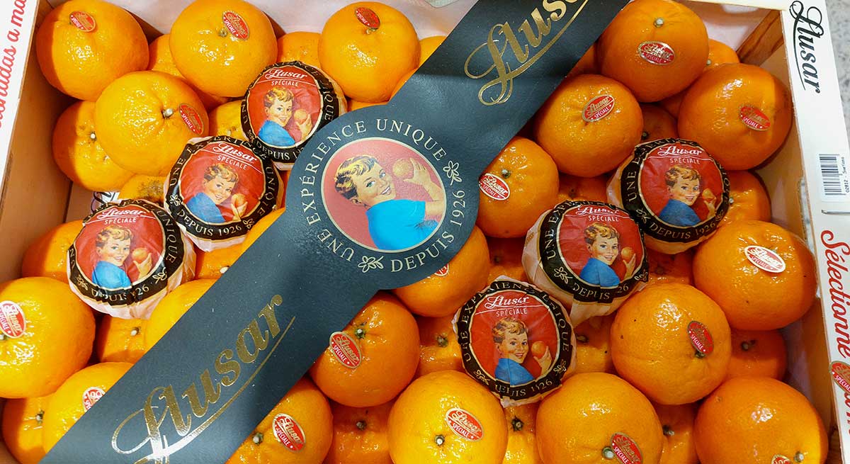 Galley-Order_Naranjas-Plusar aprovisionamiento de yates, servicios náuticos Mallorca, suministros embarcaciones Baleares, logística marítima Ibiza, productos frescos yates