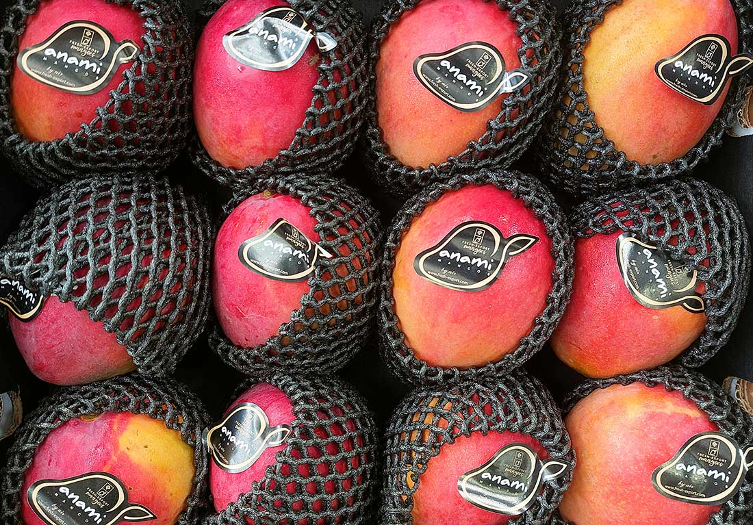 Galley-Order_mangos aprovisionamiento de yates, servicios náuticos Mallorca, suministros embarcaciones Baleares, logística marítima Ibiza, productos frescos yates