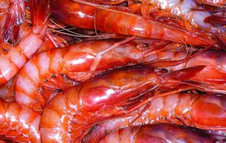 Pescados y mariscos