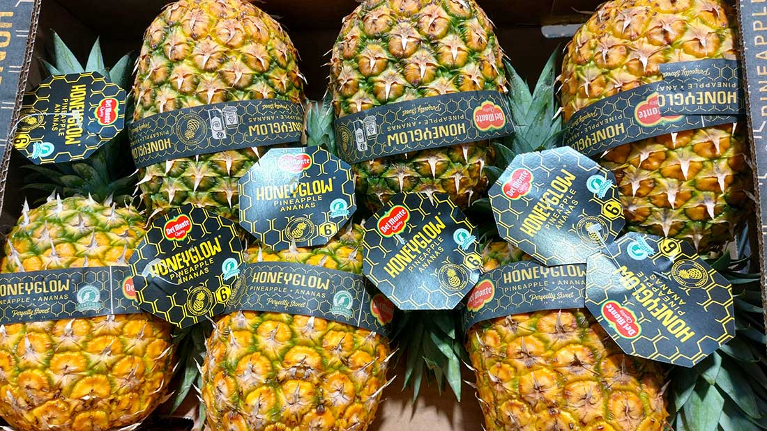 Galley-Order_pineapple aprovisionamiento de yates, servicios náuticos Mallorca, suministros embarcaciones Baleares, logística marítima Ibiza, productos frescos yates