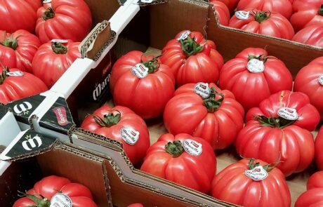 aprovisionamiento de yates, servicios náuticos Mallorca, suministros embarcaciones Baleares, logística marítima Ibiza, productos frescos yates