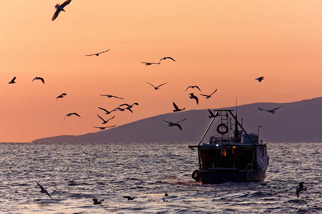 Galley-Order_pesca-altura-1 aprovisionamiento de yates, servicios náuticos Mallorca, suministros embarcaciones Baleares, logística marítima Ibiza, productos frescos yates