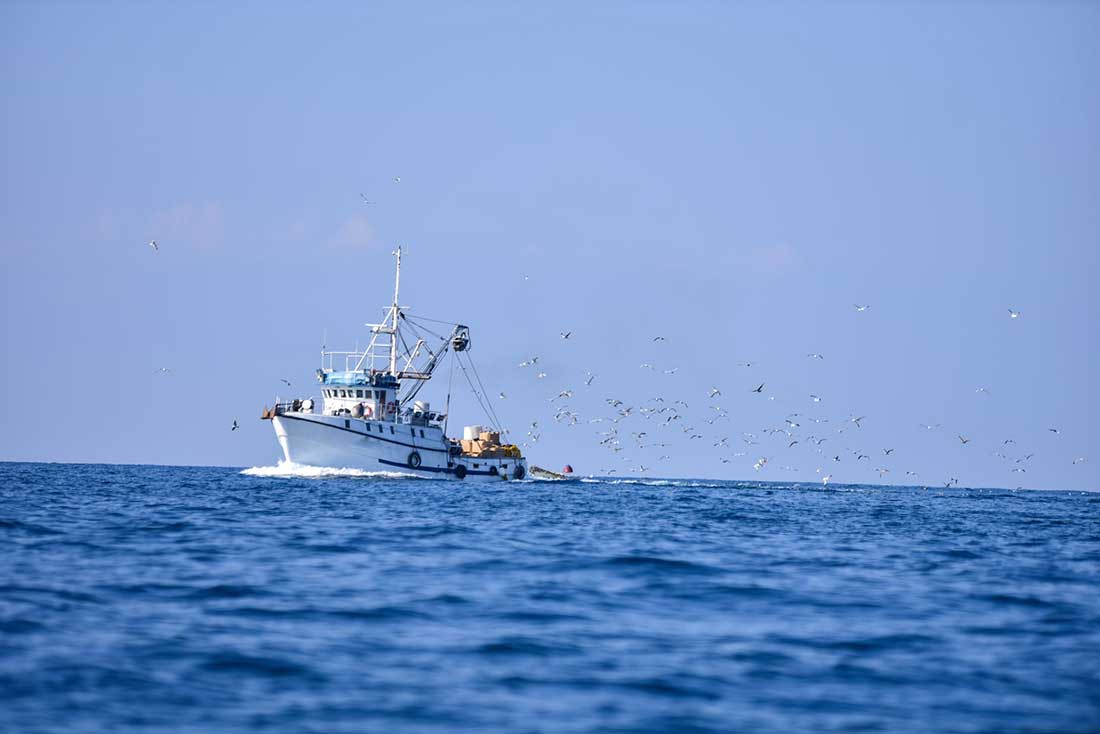 Galley-Order_pesca-altura-3 aprovisionamiento de yates, servicios náuticos Mallorca, suministros embarcaciones Baleares, logística marítima Ibiza, productos frescos yates