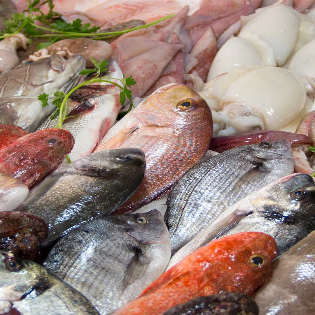 Galley-Order_pescado-fresco-2 aprovisionamiento de yates, servicios náuticos Mallorca, suministros embarcaciones Baleares, logística marítima Ibiza, productos frescos yates